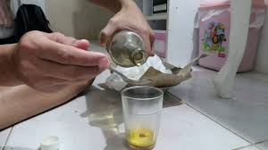 Telur merupakan salah satu bahan pangan yang sangat penting dan nyaris ada seluruh negeri. Cara Membuat Telur Ayam Kampung Madu Youtube
