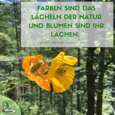 Die Schonsten Spruche Wandern Liebe Natur Und Mehr Aktiv Durch Das Leben De Wanderblog Spruche Natur Schone Spruche Spruche Wandern