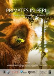 01 i can see inside your head 02 slipping away (3:27) 03 love queen (9:41) 04 chocolate piano (14:14). Primates In Peril The World S 25 Most Endangered Primates 2018 2020 By Bristolzoologicalsociety Issuu