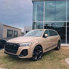 Image result for Corba Beige 2019 Q7