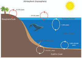 Adjective of, pertaining to, in, or associated with the deeper parts of the sea: Ocean Layers Mixing Time Scavengers