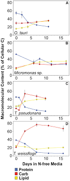 Frontiers The Macromolecular Basis Of Phytoplankton C N P