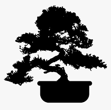 We did not find results for: Clipart Bonsai Tree Silhouette Hd Png Download Kindpng