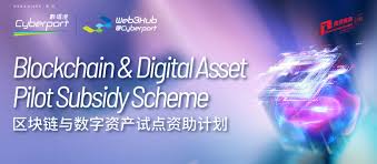 区块链与数字资产试点资助计划