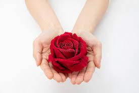 ثانيا تعريف يد تحكم غير خاصة بالكمبيوتر للعمل على الكمبيوتر: Lovepik ØµÙˆØ±Ø© Jpg 501575941 Id ØµÙˆØ±Ø© ÙÙˆØªÙˆØºØ±Ø§ÙÙŠØ© Ø¨Ø­Ø« ØµÙˆØ± ÙŠØ¯ ØªØ­Ù…Ù„ Ø²Ù‡Ø±Ø© Ø§Ù„ÙˆØ±Ø¯