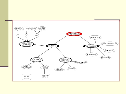 Și aici am apelat la exemple concrete și diverse modalități de a evidenția deosebirile sau diferite elemente de identificare. Mpreun Indivizii Genereaz I Discut Idei Ajungnd La