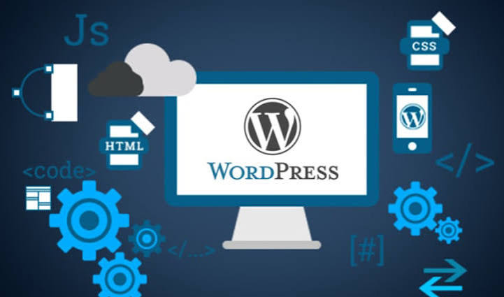  WordPress development