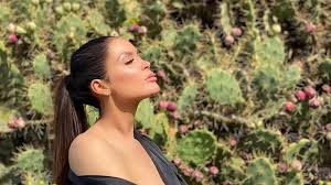 We would like to show you a description here but the site won't allow us. Olle Kamellen Janine Interessiert Nicht Was Tobi Redet Promiflash De