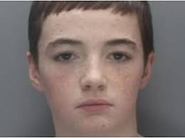 Teen who sold drugs using Harry Potter house elf Dobby as an alias and left  female cyclist seriously injured in car crash is jailed