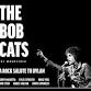 The Bob Cats event in Woodstock, NY
