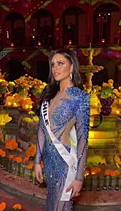 Image result for Emilia decipiens