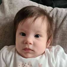 This excavator is like a modern-day tree surgeon!