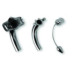 Image result for Trachypogon chevalieri