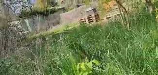 115 likes · 3 talking about this · 17 were here. Kaspar Hauser Stiftung Home Facebook