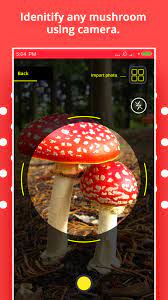 Are you looking for a professional mushroom identification app? Mushroom Identification For Android Apk Download