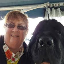 Jill Britton (@jill_jdbritton)