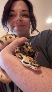 Feeding and vet care for ball python?