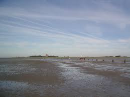 Das wattenmeer ist eine weltweit einzigartige naturlandschaft. Nationalpark Hamburgisches Wattenmeer Wikipedia