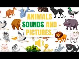 Enhance English Vocabulary Learn What Do We Call Animal S Sounds And Noises With Pictures List Of 108 Animal And Birds Sound In 2020 Pet Birds Animal Sounds Animals