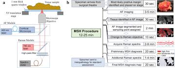 In situ means 'in place' and refers to the fact that the cancer has not moved out of the duct and does not infiltrate the surrounding tissue. Intra Operative Spectroscopic Assessment Of Surgical Margins During Breast Conserving Surgery Breast Cancer Research Full Text