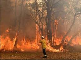 Kegunaan wang tabung koperasi sekolah, syarat untuk memohon wang tabungan koperasi. Kebakaran Hutan Australia Kabinet Lulus Penghantaran Misi Bantuan