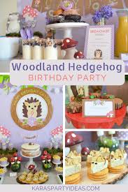 Kara S Party Ideas Woodland Hedgehog Birthday Party Kara S Party Ideas
