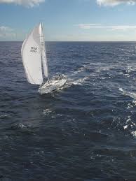 SailGP Auckland racing recap