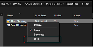 A powerful and fast dwg tools, protecting drawing file, keep others from. Bim 360 Desktop Connector File Locking Cadline Community