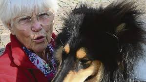 Pirsch auf Hund: Ausgebüxten Collie auf dem Neuen Markt eingefangen