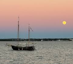 On Sail In Florida: Photo Of The Week