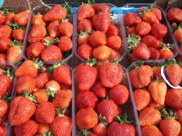 Poti alege intre varietati aromate, cu gust deosebit, cu aspect deosebit sau rezistente. Stoloni De CÄƒpsuni Soiul Joly Clery Marmolad Origine Italia 4 Lei