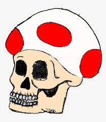 How do you draw mushrooms? Mario Mushroom Drawing At Getdrawings Transparent Png 2448x2532 Free Download On Nicepng