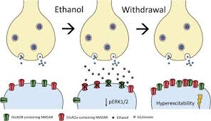 Image result for Acamprosate
