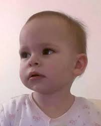 Daily Post Little Lives campaign