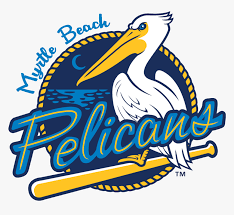 Over 16 pelicans logo png images are found on vippng. Myrtle Beach Pelicans Logo Png Transparent Png Transparent Png Image Pngitem