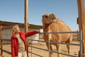 It's a test to see who can develop alzheimer's. There Is A Lot To See At The Aec Exotic Animals At Local Zoo Now Open To Public Edwards Air Force Base News
