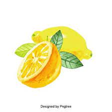 Fresh Lemon Fruit Lemon Clipart Png Fruit Png And Vector With Transparent Background For Free Download Lemon Drawing Watercolor Flower Background Small Canvas Art