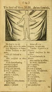 Joh Amos Commenii Orbis Sensualium Pictus Hoc Est Omnium Principalium In Mundo Rerum In Vita Actio Graphic Design Goodies Woodcuts Prints The Borrowers