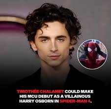 Timothée Chalamet as Harry Osborn in Spider-Man 4