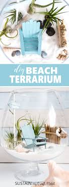 Whatever the climate may be in your large, expansive home or your teeny tiny apartment, a terrarium—given a healthy dose of indirect light and an occasional spritz of water—will be happy as a clam. Diy Beachy Air Plant Mini Garden Terrarium Sustain My Craft Habit