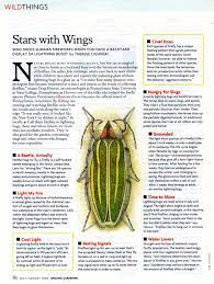 Lightning Bugs Beneficials Found The Info About Juvenile Lighting Bugs Feeding On Slugs Interesting Garden Prepping Garden Pests Rose Nursery