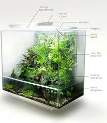 Biopod Smart Microhabitat Indoor Water Garden Aquaponics Terrarium
