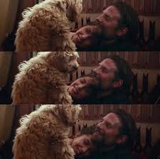 Pin By 90slife On A Star Is Born A Star Is Born Stars Movies And Tv Shows