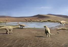 Jaqueline duarte onlyfans 361,874 talking about this.