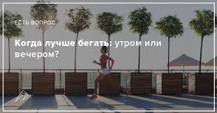 Kogda Luchshe Begat Utrom Ili Vecherom