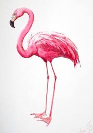 Epingle Par Terri Pauff Sur Flamand Rose Dessin En 2020 Art Sur Le Flamant Rose Flamand Rose Dessin Flamant Rose Dessin