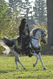 Pin By Nurbaiti On Konie Horse Girl Photography Horses Equine Photography