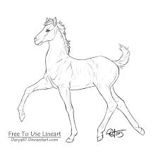 Free Lineart Foal By Darya87 In 2020 Horse Drawings Pencil Drawings Of Animals Horse Coloring Pages