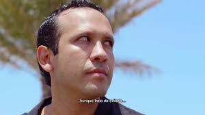 The Mystery of the Pink Flamingo