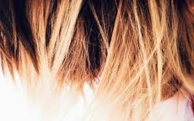 5 lucky winners will each get 2 free blow outs at any blo blow dry bar location of your choice so you and your bestie can try out. 2021 Average Hair Stylist Cost With Price Factors